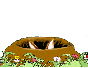 animated-rabbit-image-0162.gif